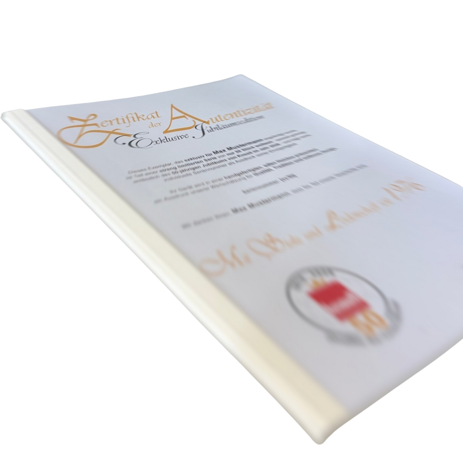 Disco-Antistat Ultrasonic 2.0 ⋆✴︎˚｡⋆ Jubiläumsedition ⋆✴︎˚｡⋆