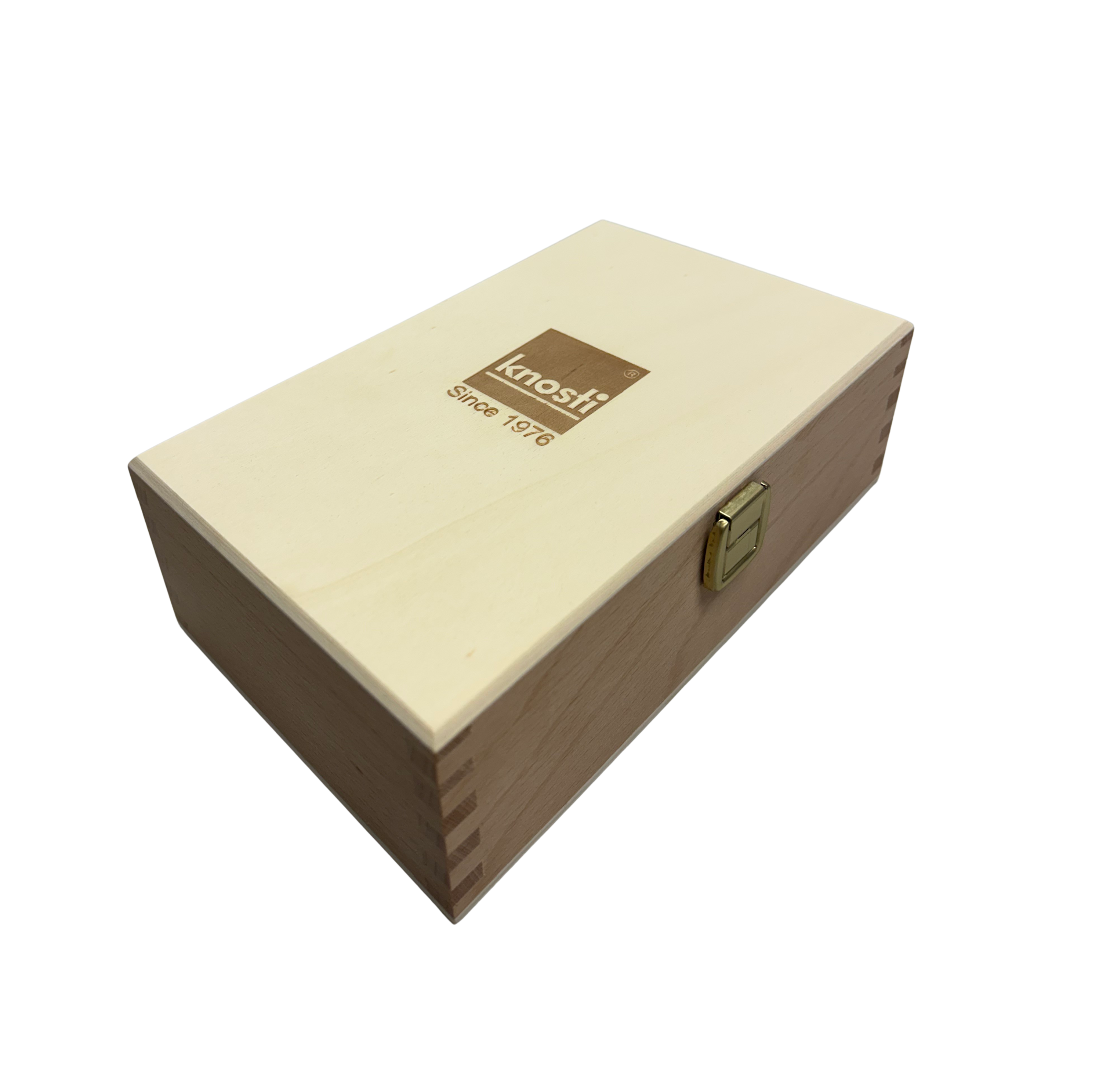 Vinyl Care Box aus Holz_geschlossen_hell_schnelle Schallplattenpflege